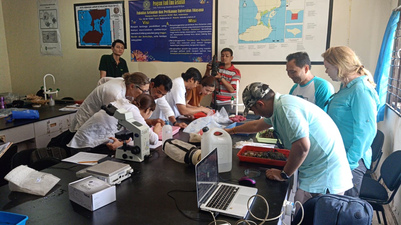 Training of Trainers on Monitoring & Assessment of Marine Plastic Litter & Microplastic in collaboration with COBSEA